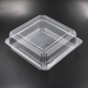 Plastic Cake Tub (Square), Plastic Cake Box, plastic cake container with lid - All About Baking